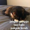 ann 🦋 profil fotoğrafı