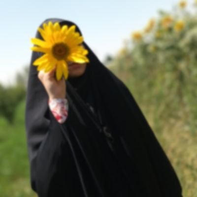 |میم.حاء|🇮🇷's profile picture