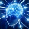 V S's profile picture