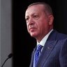 m Necat Öktem profil fotoğrafı
