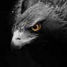 Khalid Khalil🌟🌟🌟's profile picture