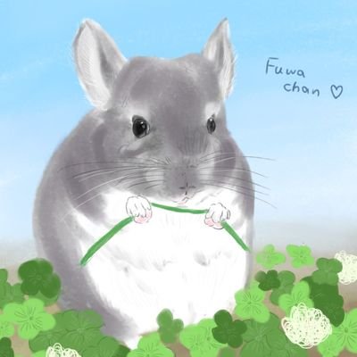 fuwa_chinchilla's profile picture