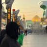 Zeinab Nassrallah's profile picture