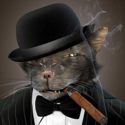 SibAlkoCat's profile picture