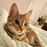 Annie's profile picture