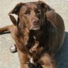 Carlos's profile picture
