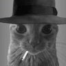 Extrarradio's profile picture