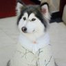 Jian Sun's profile picture