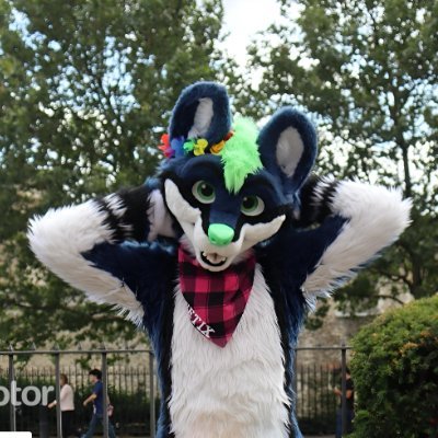 Jeeti𝕏's profile picture