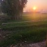 Qasim profil fotoğrafı