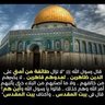 mohammed 的头像