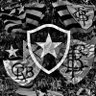 Guilherme's profile picture