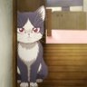 meow's profile picture