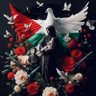 ziad 🔻 的头像