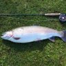 Baddlesmere.bsky.social's profile picture