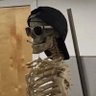 Фото профиля Tô só o osso