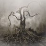 Фото профиля Blackwater