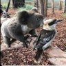 KevinAR 的头像