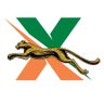 Cheetah Xpress Track Club 的头像