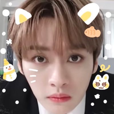 보들's profile picture