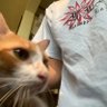hp's profile picture