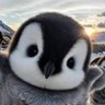 Profilbild von カシューナッツ