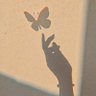 SG 🦋 的头像