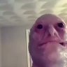 Profilbild von meant