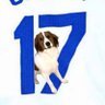Oh✨tanio⚾️ profil fotoğrafı