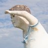 ぼのすけ's profile picture