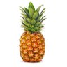 pineapple 的头像
