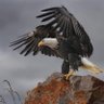 Ab Asim's profile picture