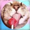 Fernando Carvalho's profile picture