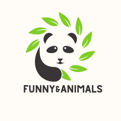 funnyanimals360's profile picture
