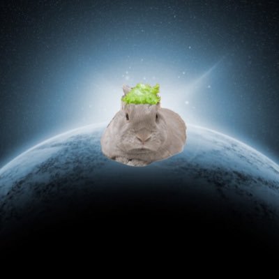 usaharu0322's profile picture