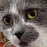Profilbild von Natalia