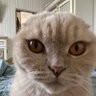Біндеровец profil fotoğrafı