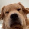 ︎︎ profil fotoğrafı