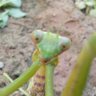 Фото профиля قابل بزرگ