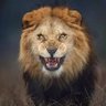 Ali Zaidi profil fotoğrafı