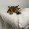 Фото профиля にのみや