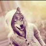 محمد الخمسي's profile picture
