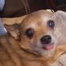 JRLaws's profile picture