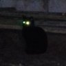 Profilbild von Harry Potter and the chamber of turds