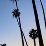 c's profile picture
