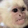 Ndukuziyagadla's profile picture
