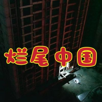 烂尾中国's profile picture