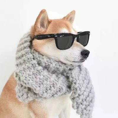 kunge0371's profile picture