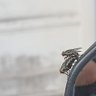 Doni darjo 的头像
