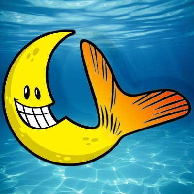 maanvis81's profile picture